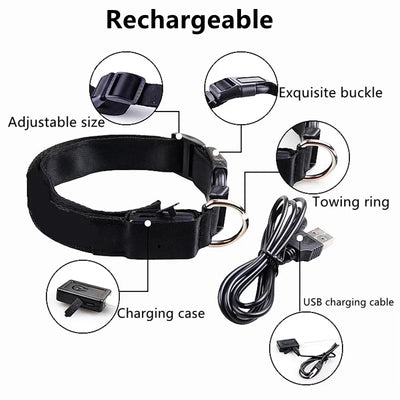 Bright Paw LED Collar Anti-Lost for Small Dogs