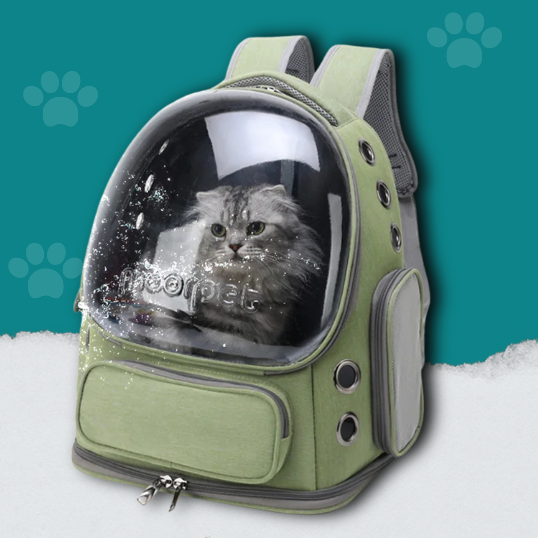 Clear View Pet Travel Backpack